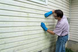 Affordable Siding Repair and Maintenance Services in Fairmont, MN